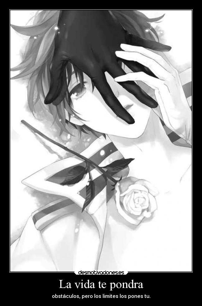 La vida te pondra - 