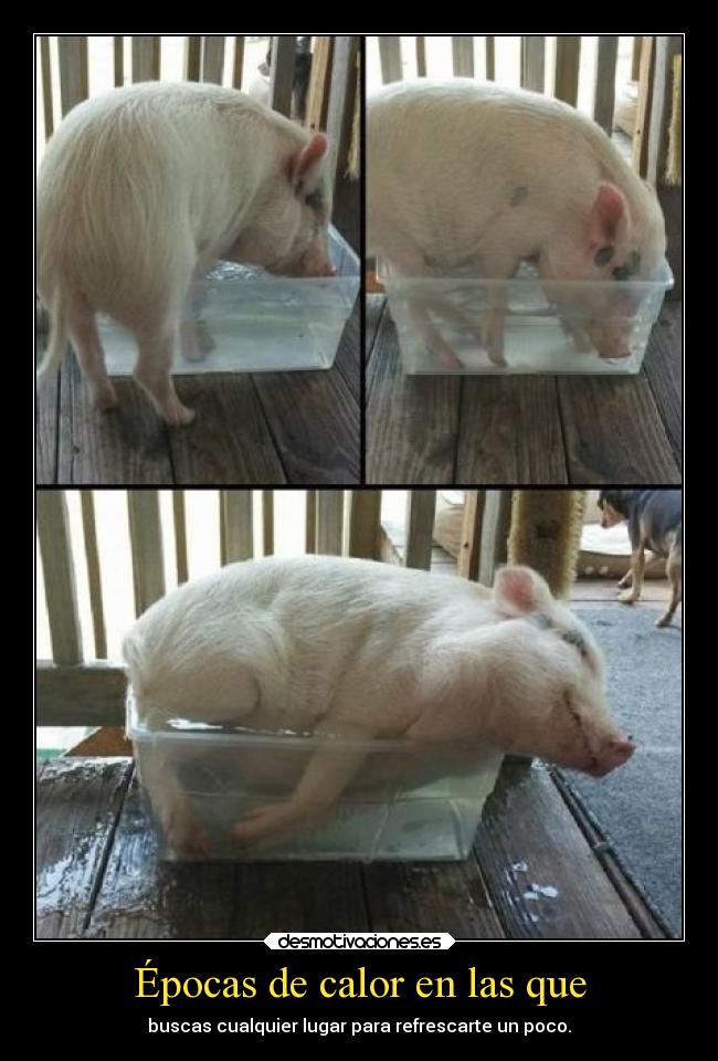 Épocas de calor en las que - 