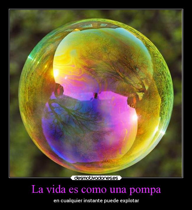 carteles vida vida ideas pompa desmotivaciones