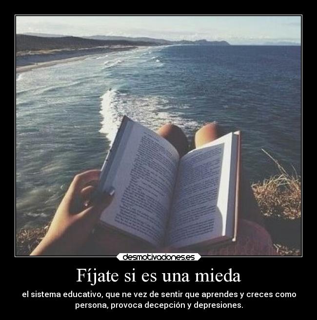 Fíjate si es una mieda -