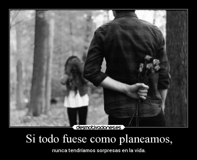 carteles vida kurara7 desmotivaciones