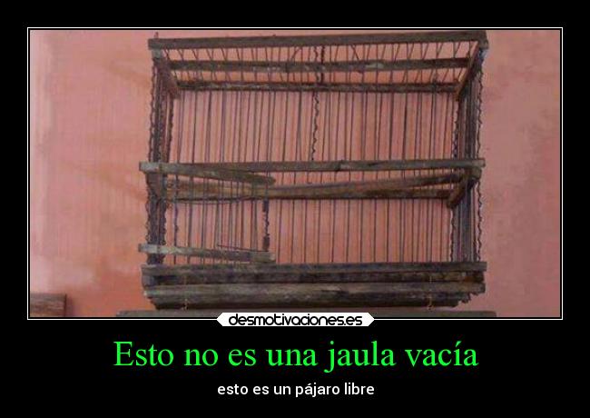 Esto no es una jaula vacía - 