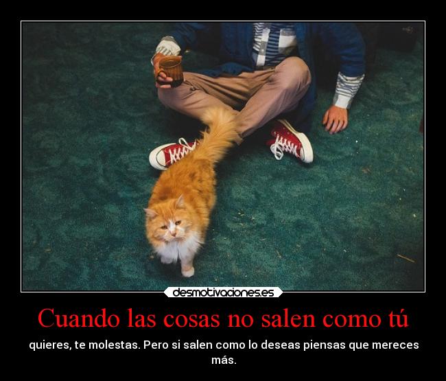 Cuando las cosas no salen como tú -