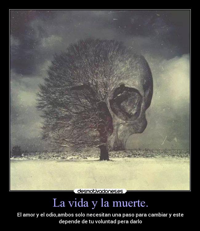 carteles vida muerte vida muerte odio amor destino desmotivaciones