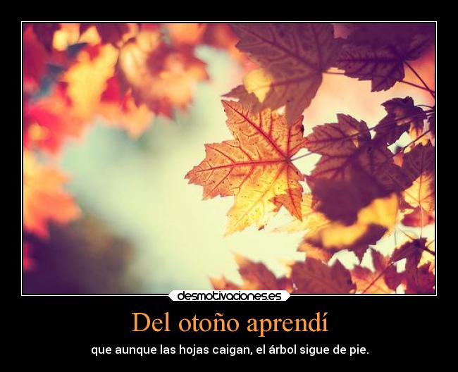 Del otoño aprendí - 