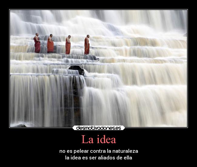 carteles vida naturaleza confianza alma alegria desmotivaciones