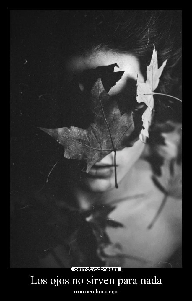 carteles vida ojos cerebro ciego proverbio arabe hojas fielalrock hellangiehell desmotivaciones