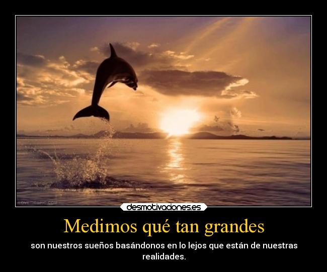 Medimos qué tan grandes -