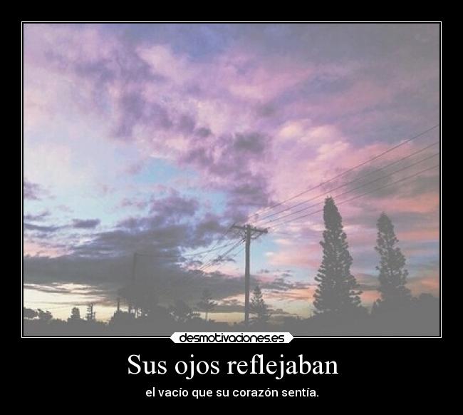 Sus ojos reflejaban - 