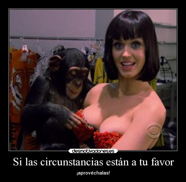 Si las circunstancias están a tu favor - 