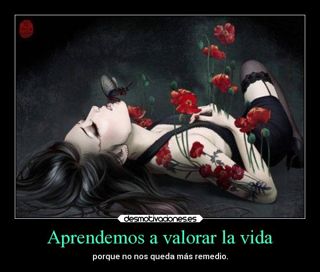 carteles vida vida valorar chica con floriponchis rojas mas pelo sexy ojos sexys mariposa suelo negro desmotivaciones