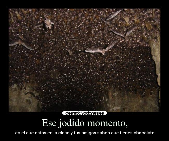 carteles vida videojuegos desmotivaciones