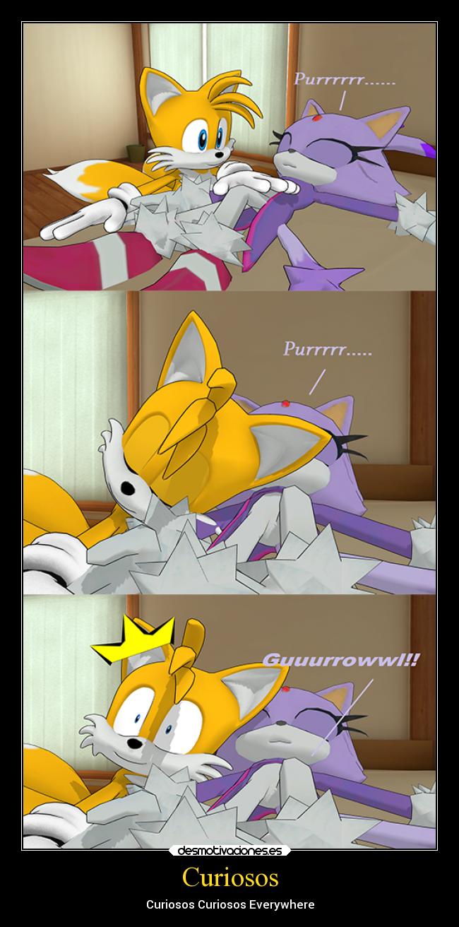 Curiosos - Curiosos Curiosos Everywhere