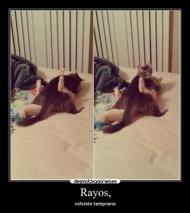 Rayos, - volviste temprano