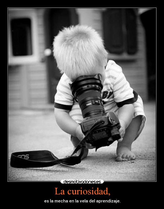 La curiosidad, -