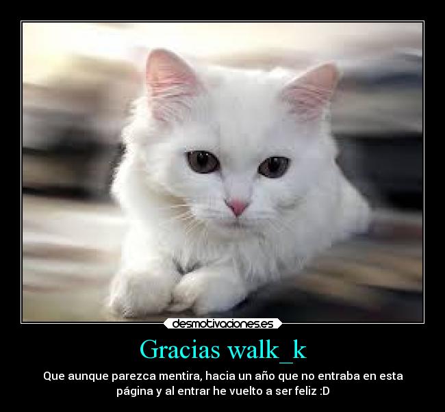 Gracias walk_k -