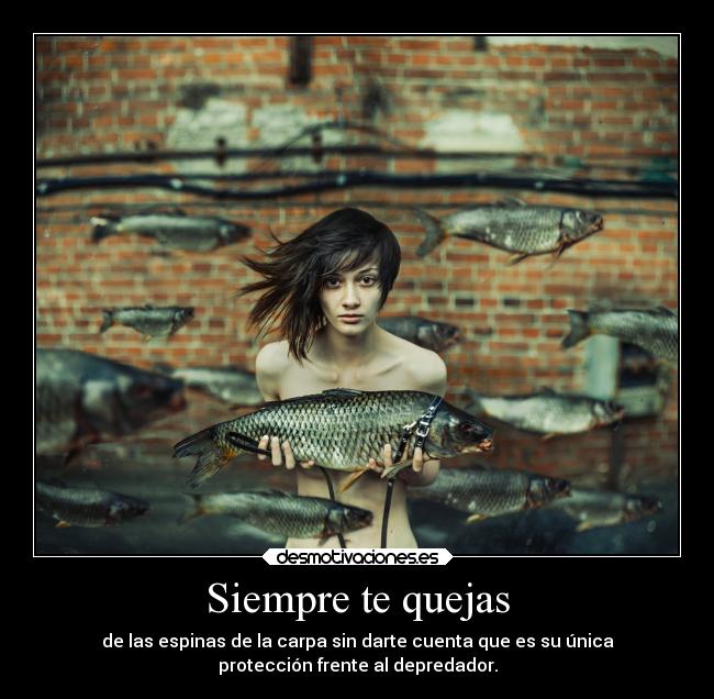 Siempre te quejas - de las espinas de la carpa sin darte cuenta que es su única
protección frente al depredador.