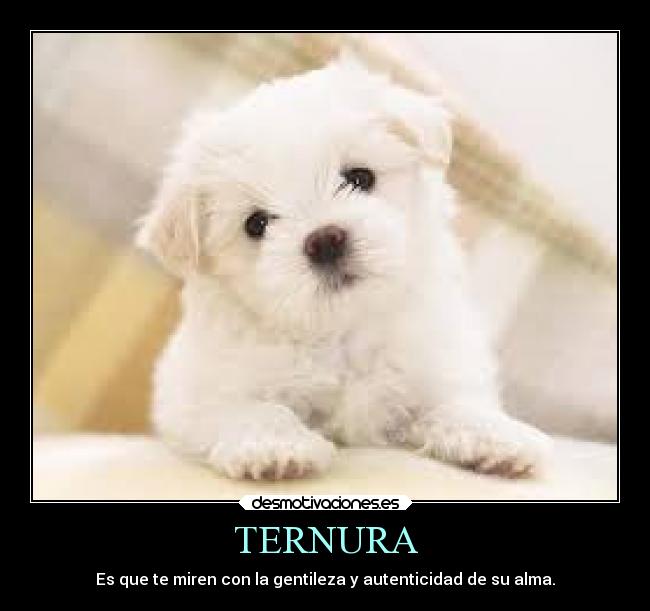 TERNURA -