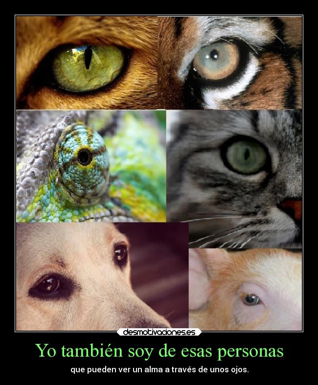 Yo también soy de esas personas -