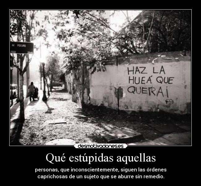 carteles alma davor safth clandesplazado soyunidiotatm babosos wismichu desmotivaciones