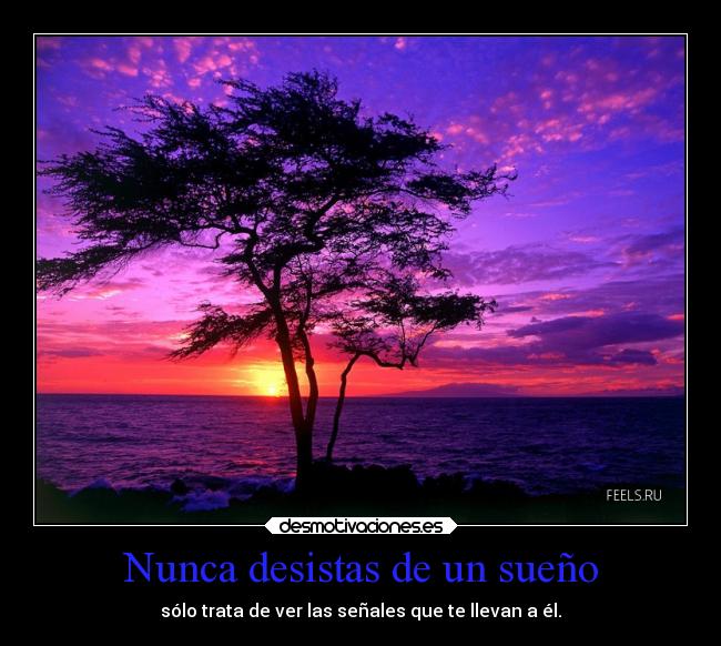 Nunca desistas de un sueño - sólo trata de ver las señales que te llevan a él.