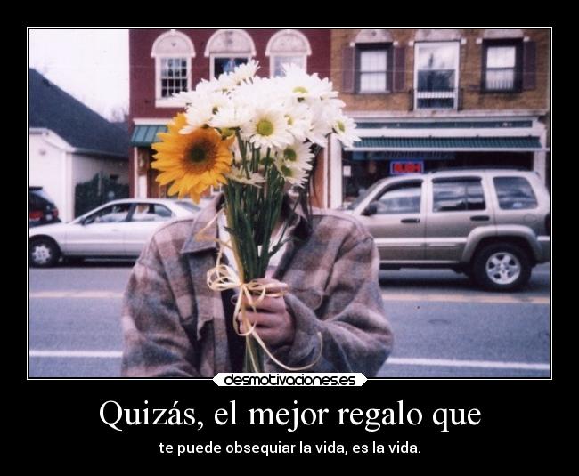 carteles alma elegy soul blueice flowers girasolesdevida frasesdecumpleparaelmio waltderegaloquieroprinci desmotivaciones