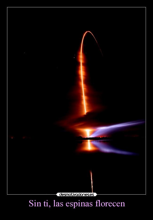 Sin ti, las espinas florecen -