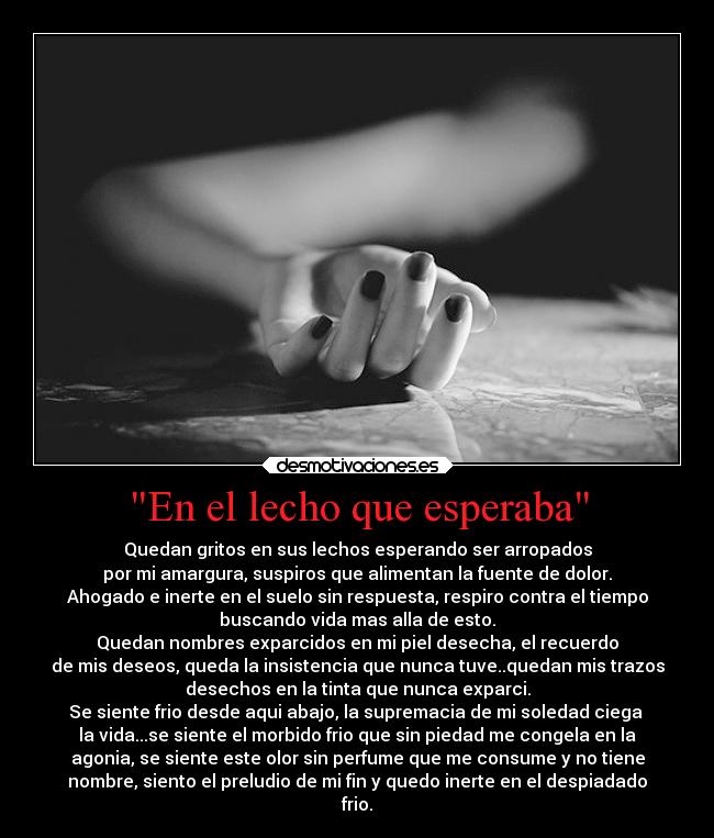 carteles alma perdon por las tildes mobil esta loco desmotivaciones