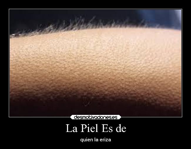 Usuario Kami0709 Desmotivaciones