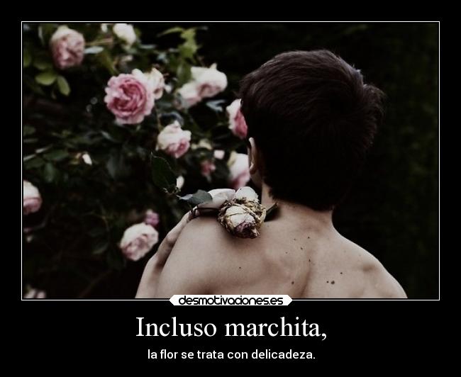 Incluso marchita, -