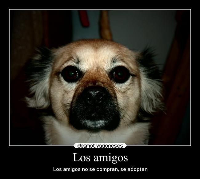 Los amigos -