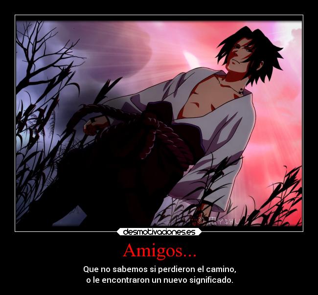 Amigos... - 