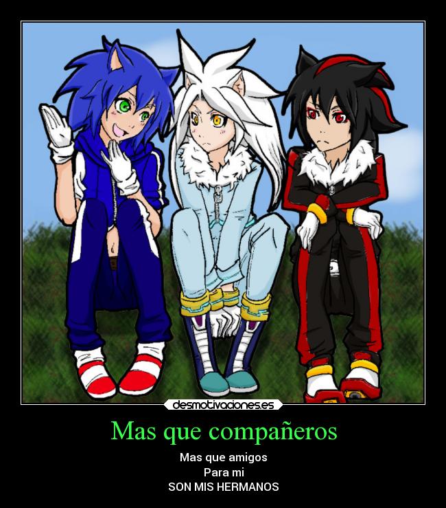 Mas que compañeros -