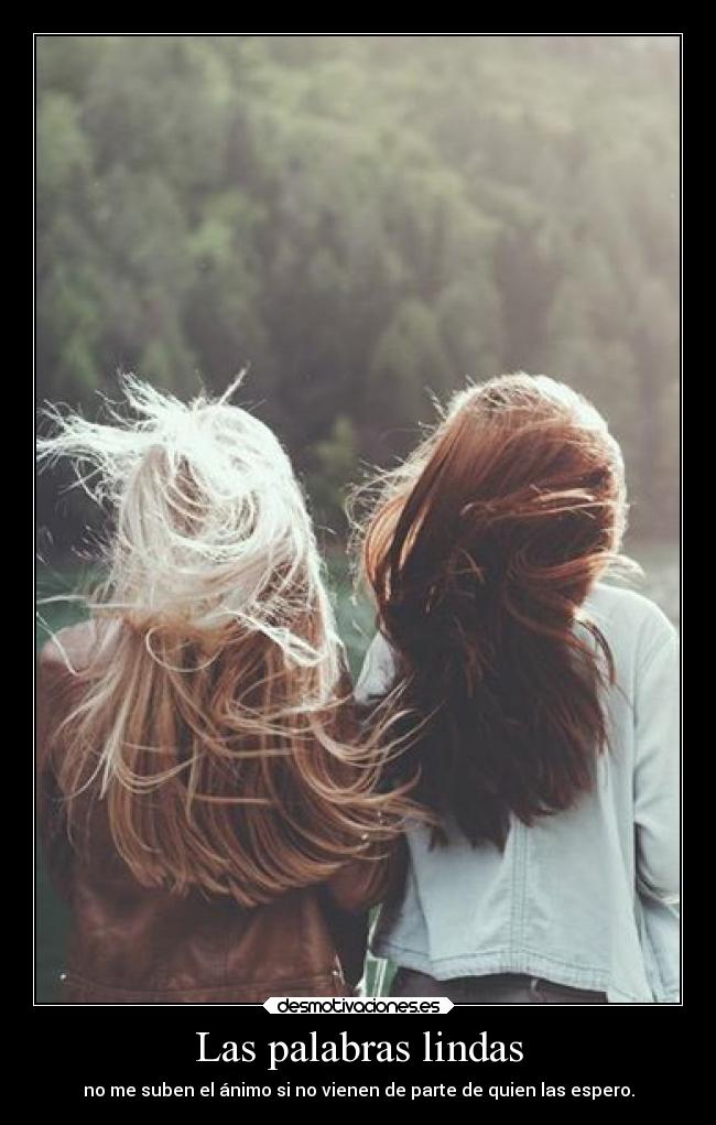 carteles amigos vida lamusicaesmialma traumadefindelibro soyunidiotatm meaburro esapersona palabrasanimo desmotivaciones