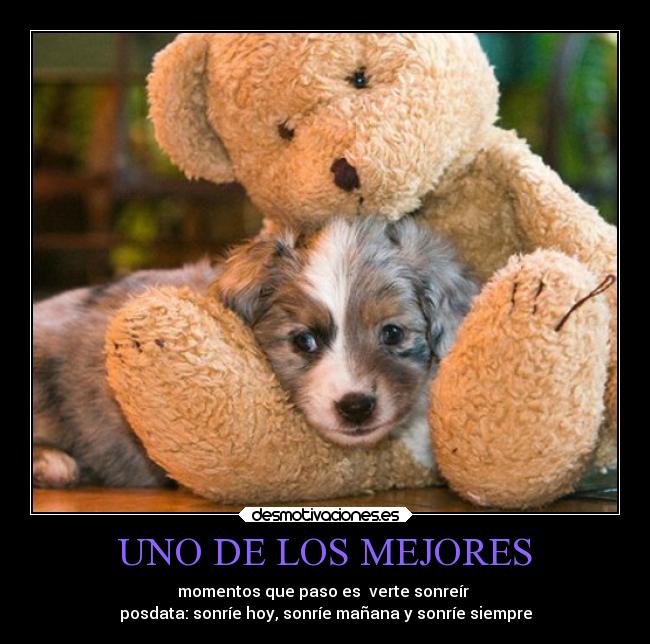 UNO DE LOS MEJORES - momentos que paso es verte sonreír
posdata: sonríe hoy, sonríe mañana y sonríe siempre