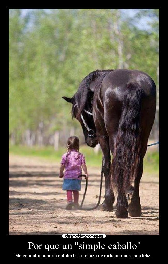 Por que un simple caballo - Me escucho cuando estaba triste e hizo de mi la persona mas feliz...