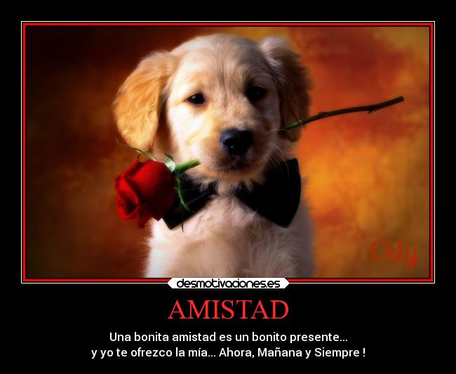 AMISTAD - Una bonita amistad es un bonito presente...
y yo te ofrezco la mía... Ahora, Mañana y Siempre !