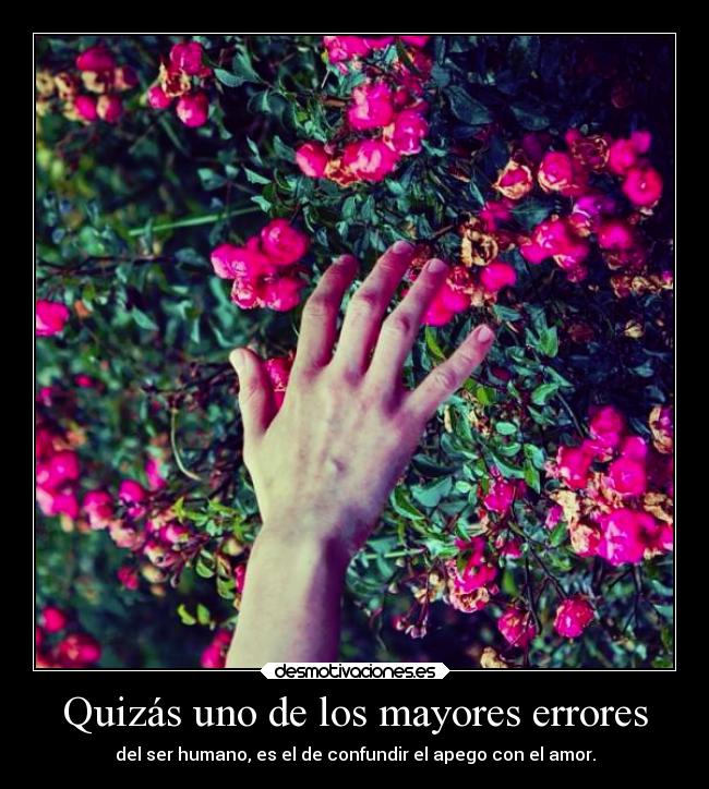 Quizás uno de los mayores errores - del ser humano, es el de confundir el apego con el amor.