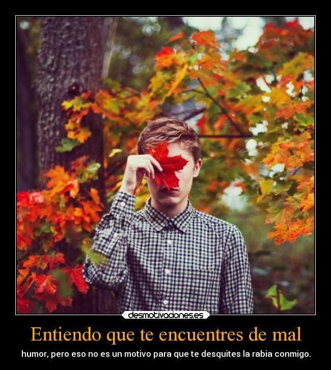 Entiendo que te encuentres de mal - humor, pero eso no es un motivo para que te desquites la rabia conmigo.