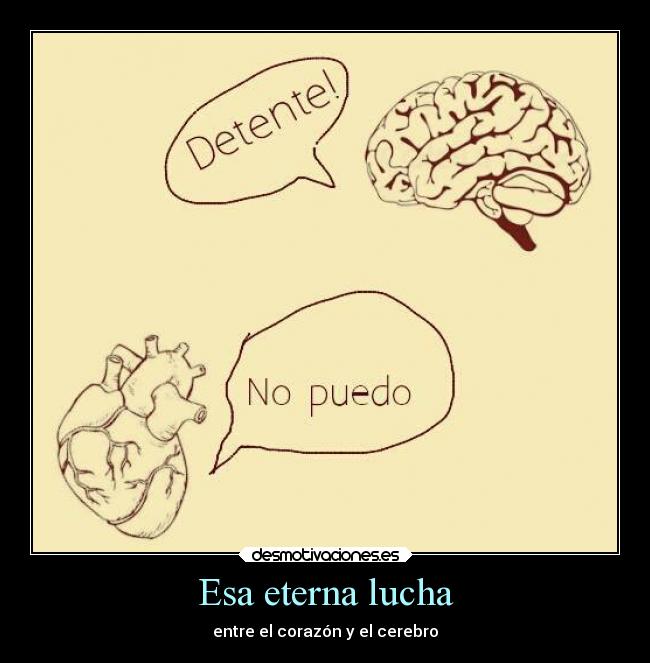 carteles amor corazon cerebro luchaeterna desmotivaciones