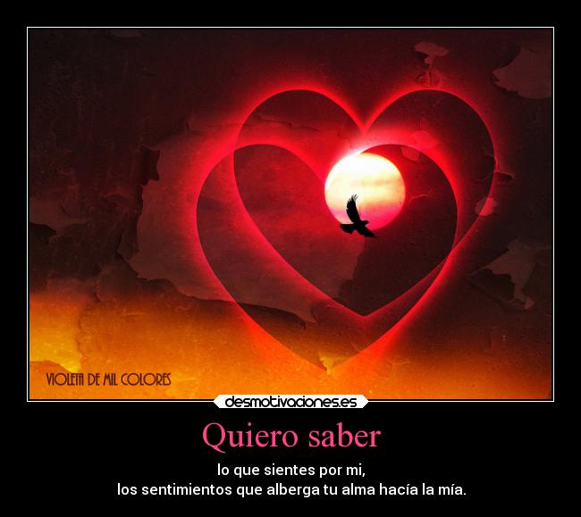 carteles amor desmotivaciones