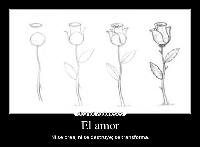 El amor - 