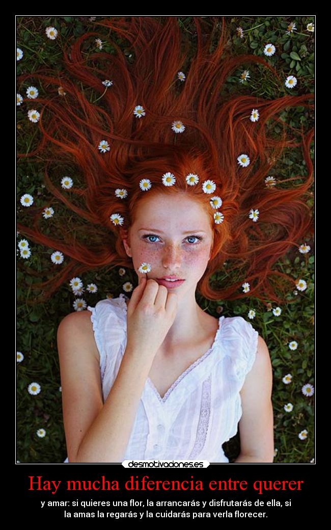 Hay mucha diferencia entre querer -
