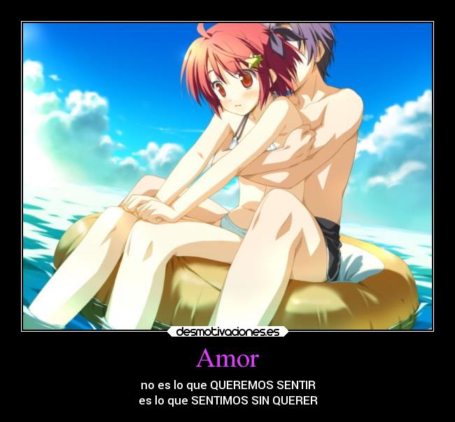 Amor -