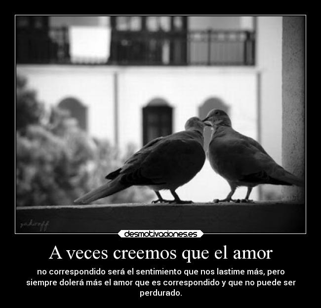 A veces creemos que el amor -