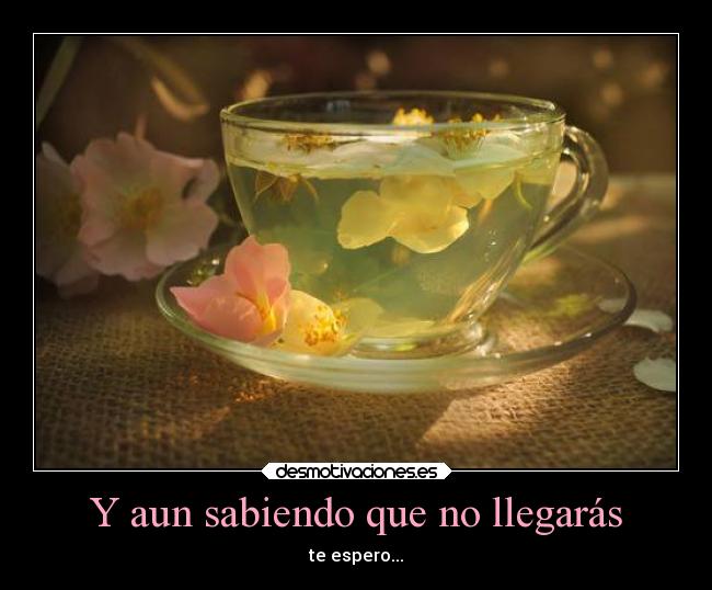 Y aun sabiendo que no llegarás -