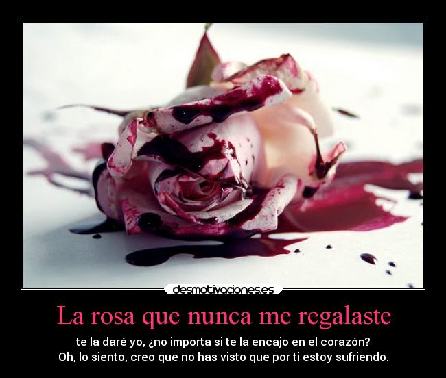 La rosa que nunca me regalaste - te la daré yo, ¿no importa si te la encajo en el corazón?
Oh, lo siento, creo que no has visto que por ti estoy sufriendo.