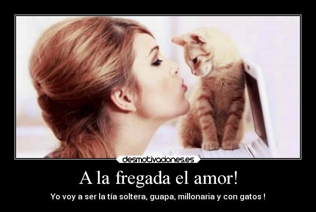 carteles amor amor solteros desmotivaciones