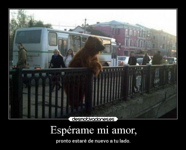 Espérame mi amor, - 