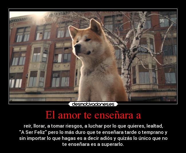 carteles amor tristeza desmotivaciones